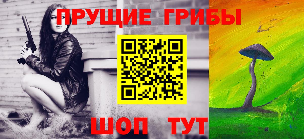 Астрахань  Псилоцибиновые грибы Psilocybine cubensis  Вход с VPN 