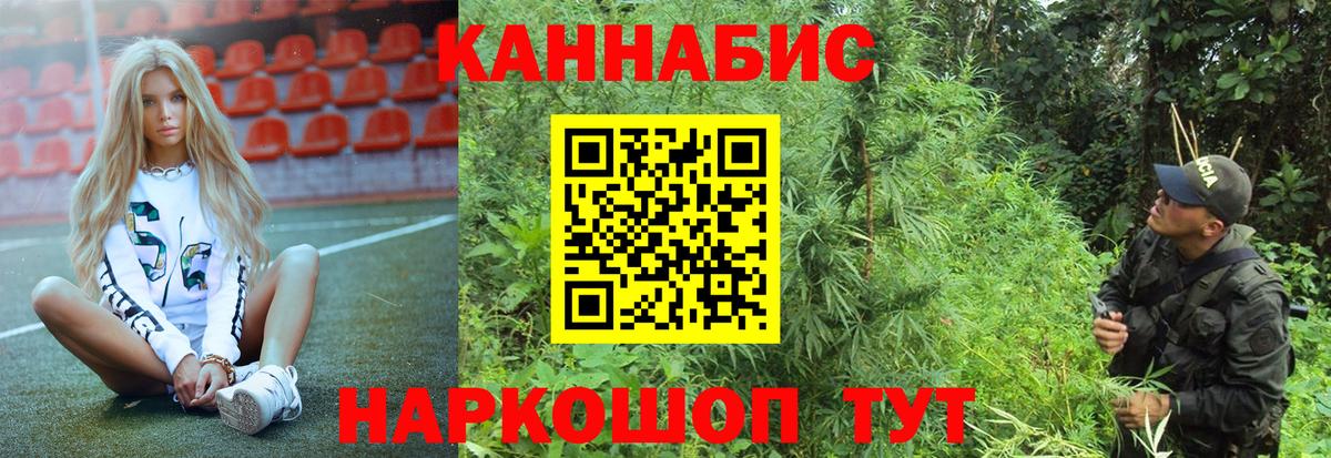 Конопля ГИДРОПОН  Вход с VPN  Астрахань  Бошки марихуана семена 